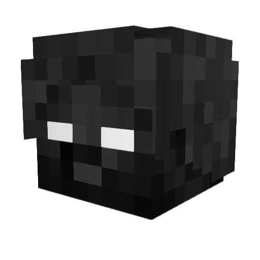 Minecraft-Avatar von wxm_levi: Kopf als 3D-Render