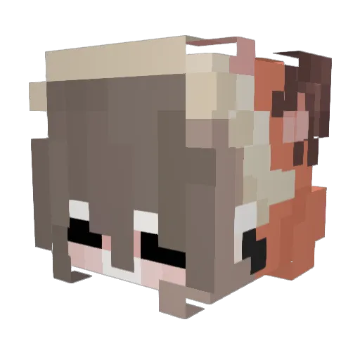 wxnrvq Minecraft avatar head, 3D render
