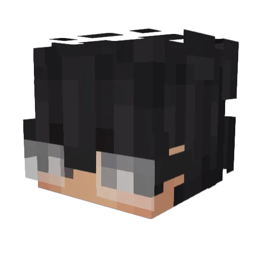 wxon Minecraft avatar head, 3D render