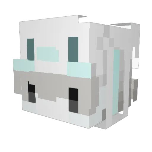wxr0v0 Minecraft avatar head, 3D render