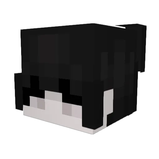 wxsst Minecraft avatar head, 3D render