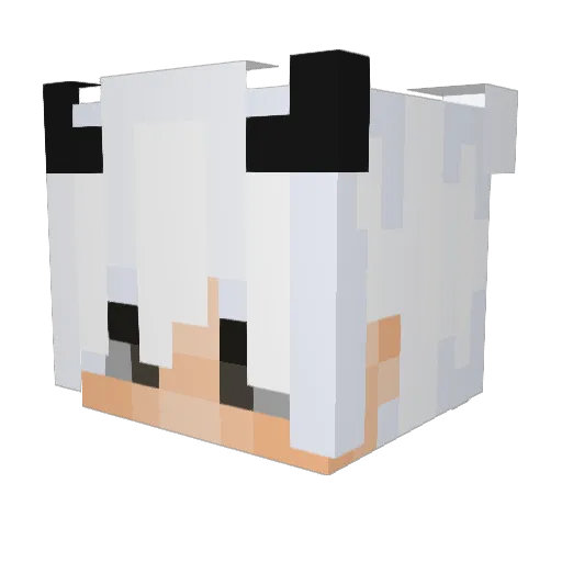 wxsted666 Minecraft avatar head, 3D render