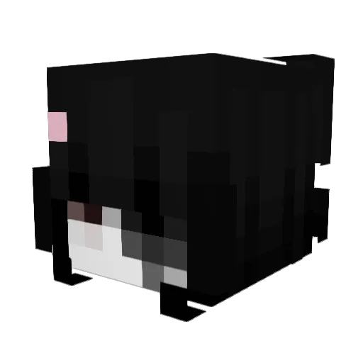 wxsteoftiime Minecraft avatar head, 3D render