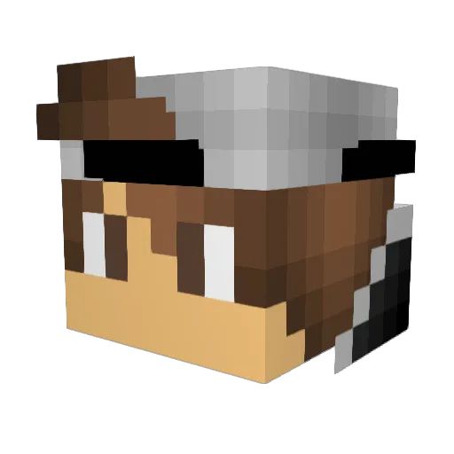 wxterboy_ Minecraft avatar head, 3D render