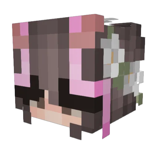 wxtiankx Minecraft avatar head, 3D render