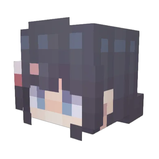 wy10 Minecraft avatar head, 3D render