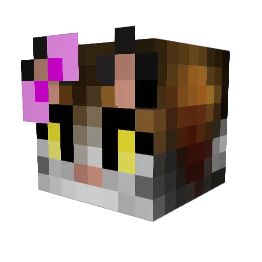 wyatt_shears Minecraft avatar head, 3D render