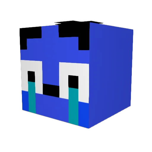 wyattcash18 Minecraft avatar head, 3D render
