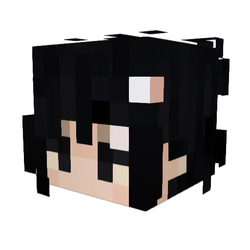 wycg Minecraft avatar head, 3D render