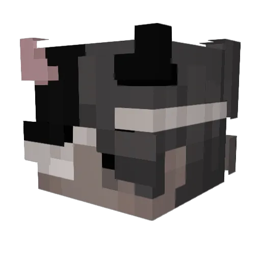wydBeasty Minecraft avatar head, 3D render
