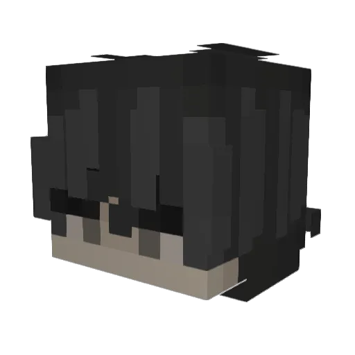 wyd_kui Minecraft avatar head, 3D render