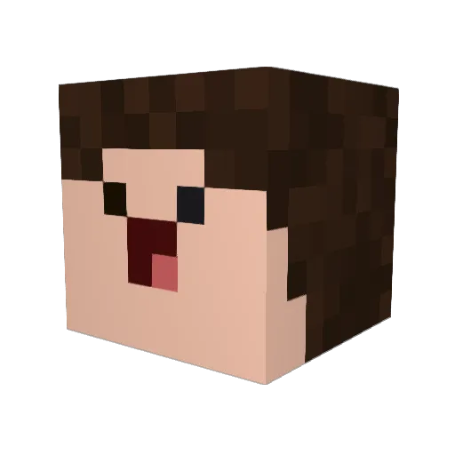 wyfa Minecraft avatar head, 3D render