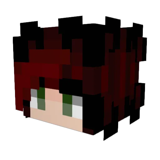 wyguy313 Minecraft avatar head, 3D render