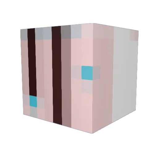 wyl3m Minecraft avatar head, 3D render