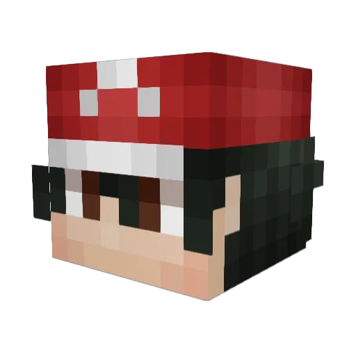 wym1107 Minecraft avatar head, 3D render