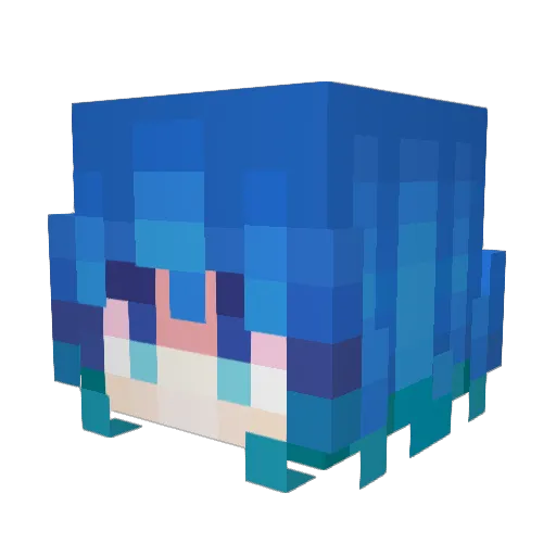 wyn758 Minecraft avatar head, 3D render