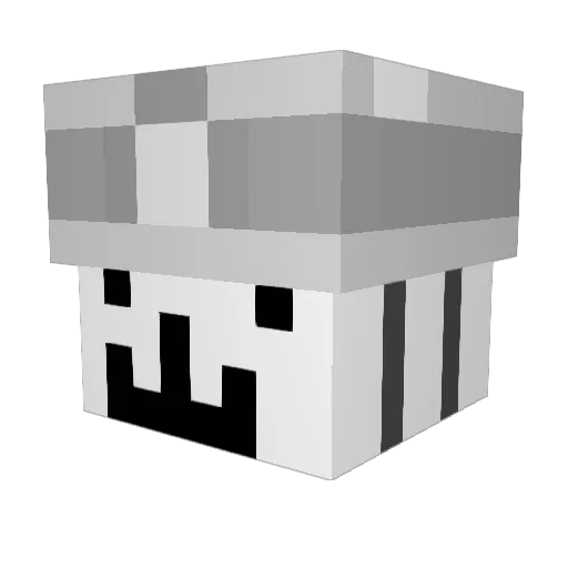 wynn1234 Minecraft avatar head, 3D render