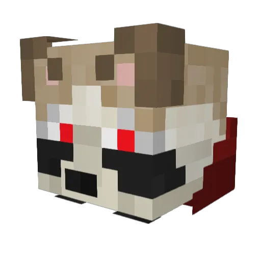 wynnhasleft Minecraft avatar head, 3D render