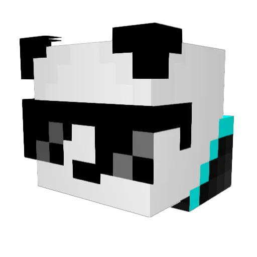 wynnry2 Minecraft avatar head, 3D render