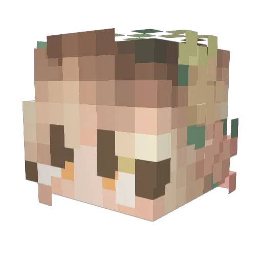 wynterbgud Minecraft avatar head, 3D render