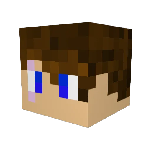 wynterbrook1028 Minecraft avatar head, 3D render
