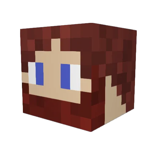wyo_colt29 Minecraft avatar head, 3D render
