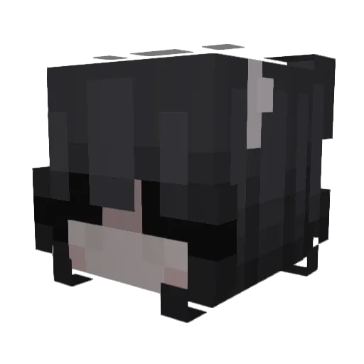 wyph Minecraft avatar head, 3D render
