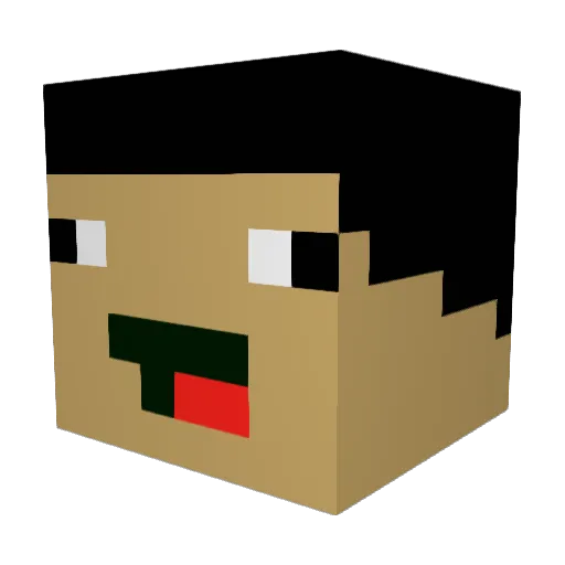 wyqny_ Minecraft avatar head, 3D render