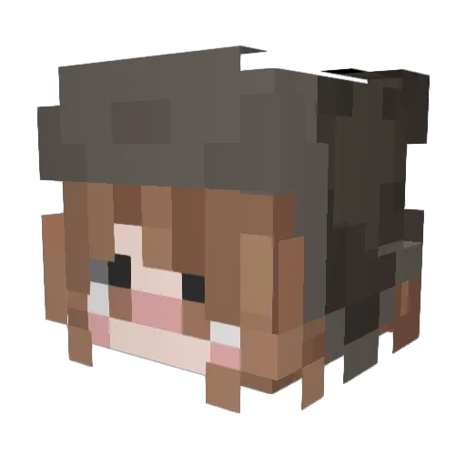 wysedgw Minecraft avatar head, 3D render