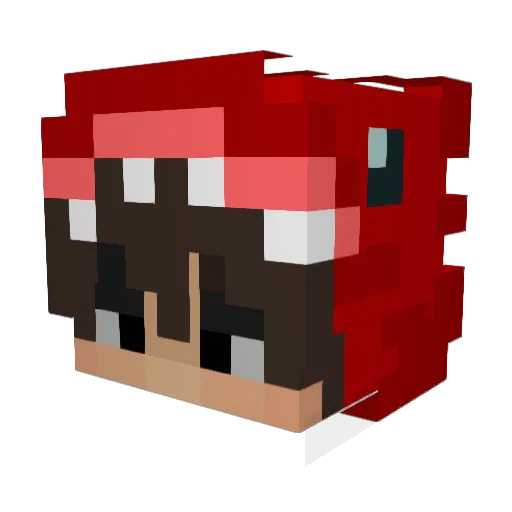wyt1123 Minecraft avatar head, 3D render