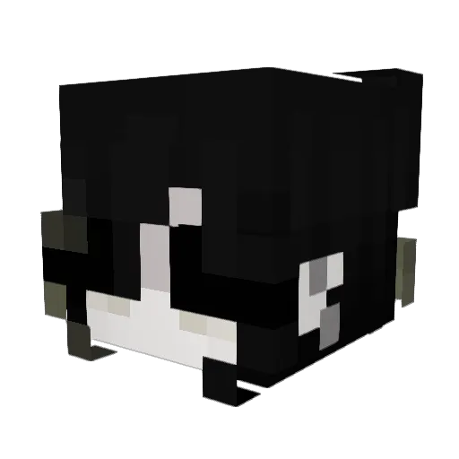 wytchwillow Minecraft avatar head, 3D render