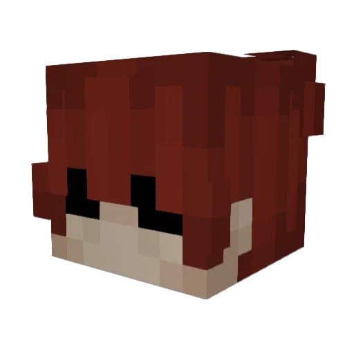 wyw Minecraft avatar head, 3D render