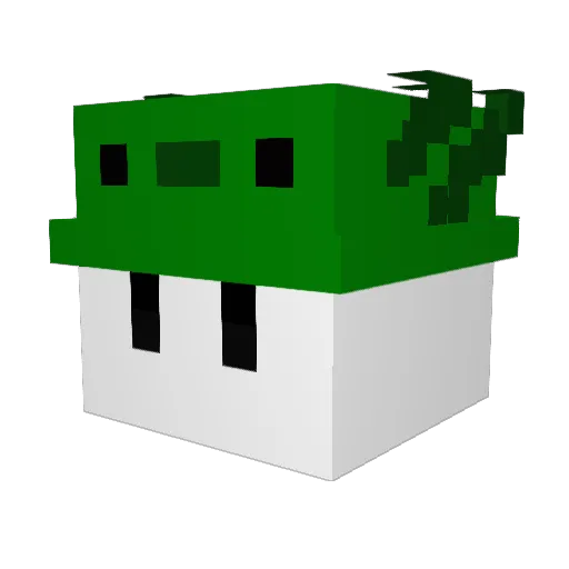 wz12345 Minecraft avatar head, 3D render