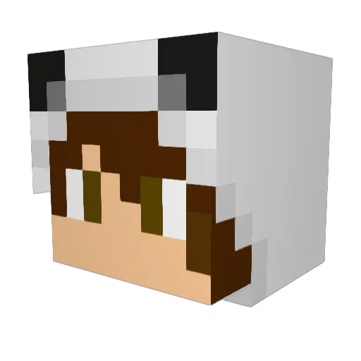 wznbrg Minecraft avatar head, 3D render