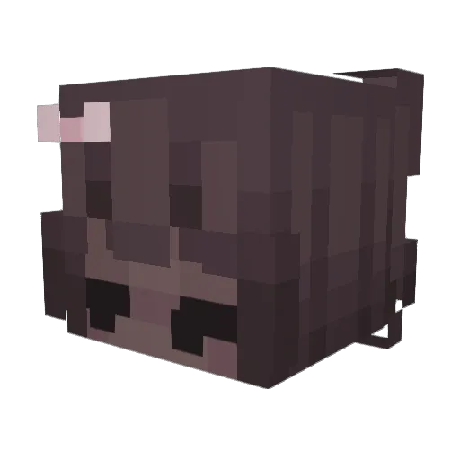 wzns Minecraft avatar head, 3D render