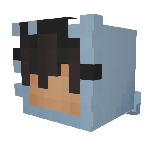 wzwrych Minecraft avatar head, 3D render