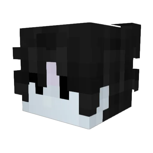 x06s Minecraft avatar head, 3D render