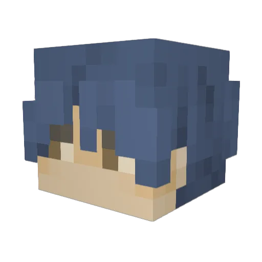 x0d1_B_napapijri Minecraft avatar head, 3D render