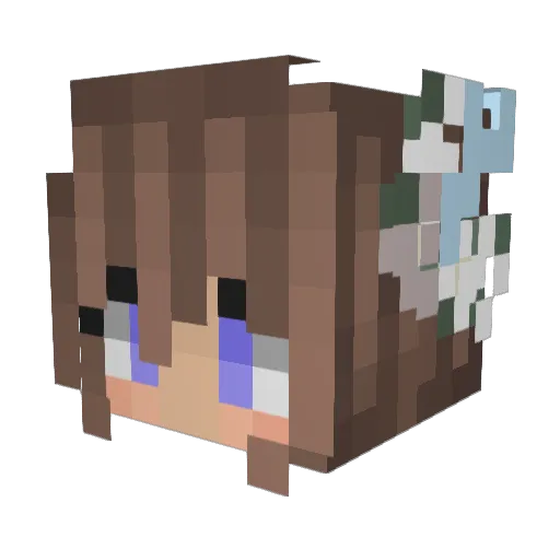 x0x0x00x Minecraft avatar head, 3D render