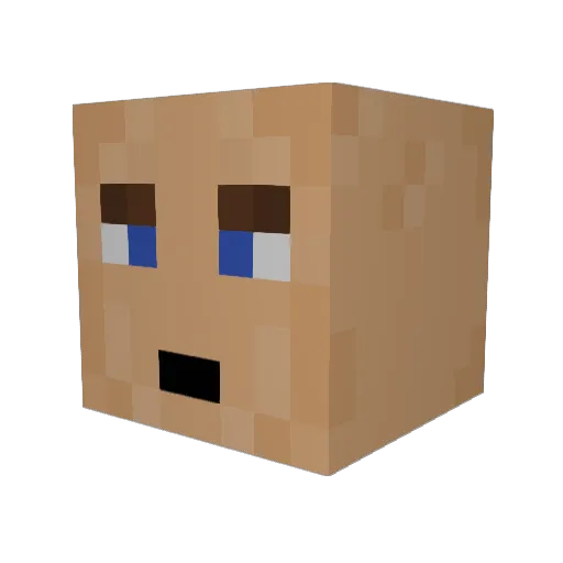 x11SplashBros30x Minecraft avatar head, 3D render