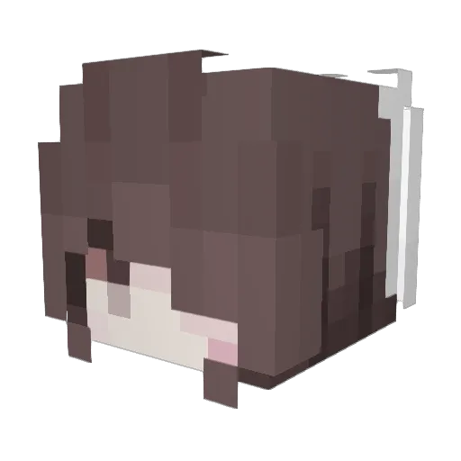 x11a3sd9 Minecraft avatar head, 3D render