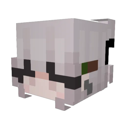x1a3 Minecraft avatar head, 3D render