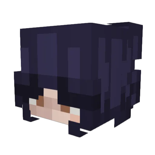 x1ea Minecraft avatar head, 3D render