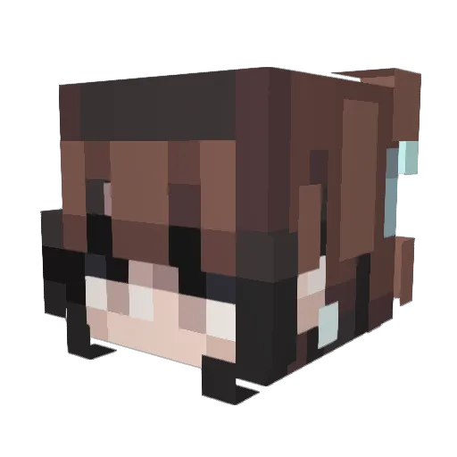 x1z116 Minecraft avatar head, 3D render