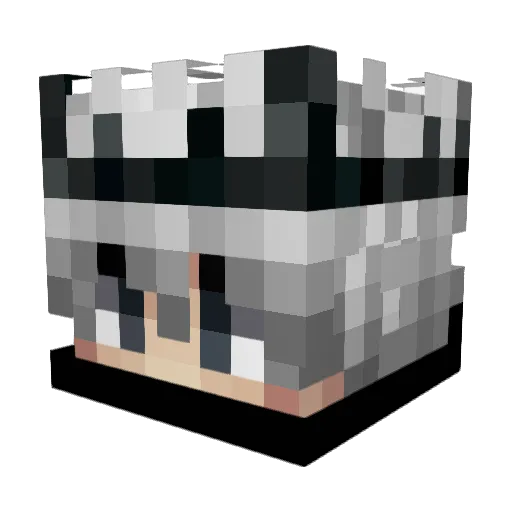 x20131410 Minecraft avatar head, 3D render