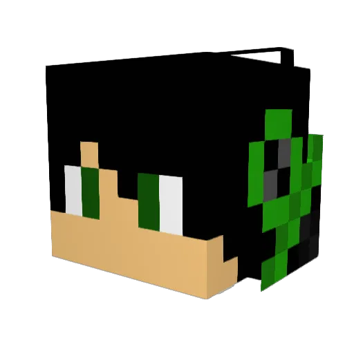 x26Michi26x Minecraft avatar head, 3D render