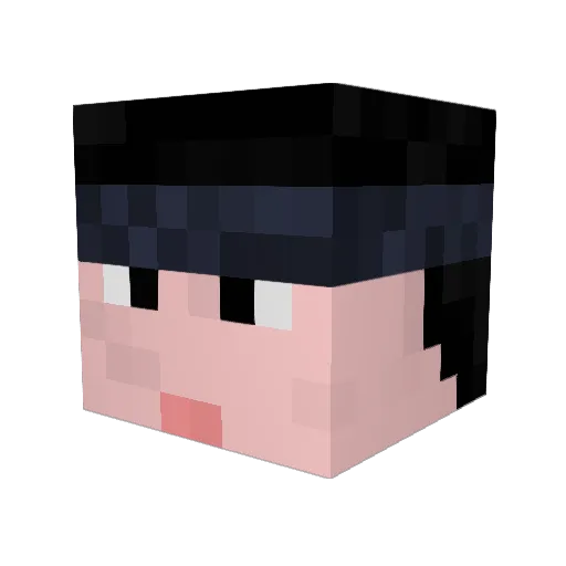x282665 Minecraft avatar head, 3D render