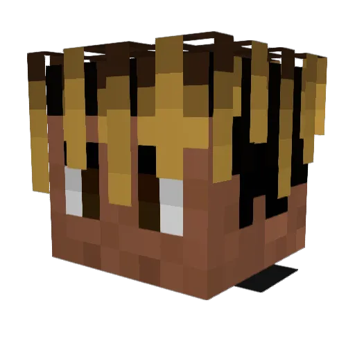 x2SOW Minecraft avatar head, 3D render