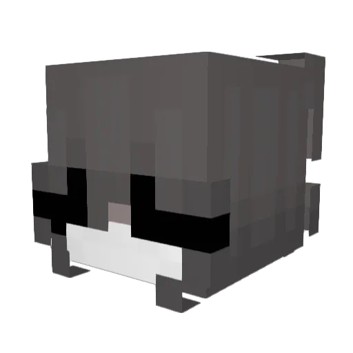 x2aws Minecraft avatar head, 3D render