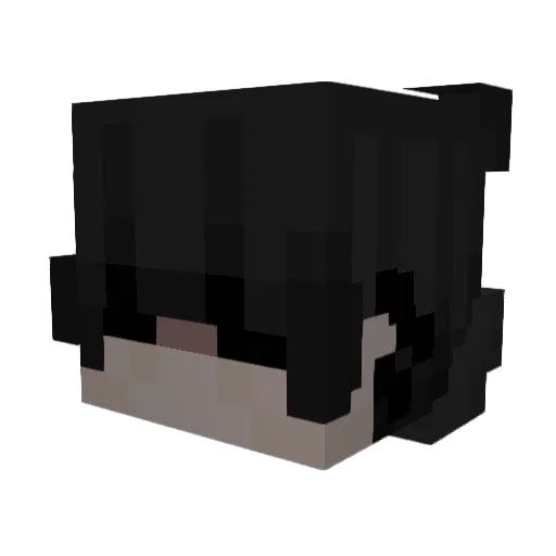 x2e_ Minecraft avatar head, 3D render